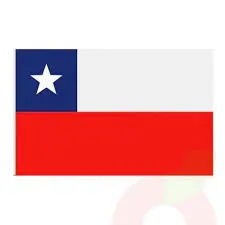 [20482] Bandera Chilena 60x90cm